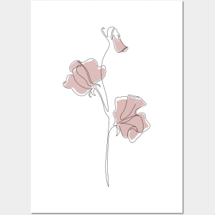 Blush Sweet Pea Posters and Art